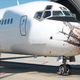 A plane that hit a deer.